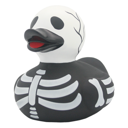 Duck skeleton