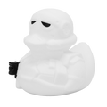 Canard Star Trooper
