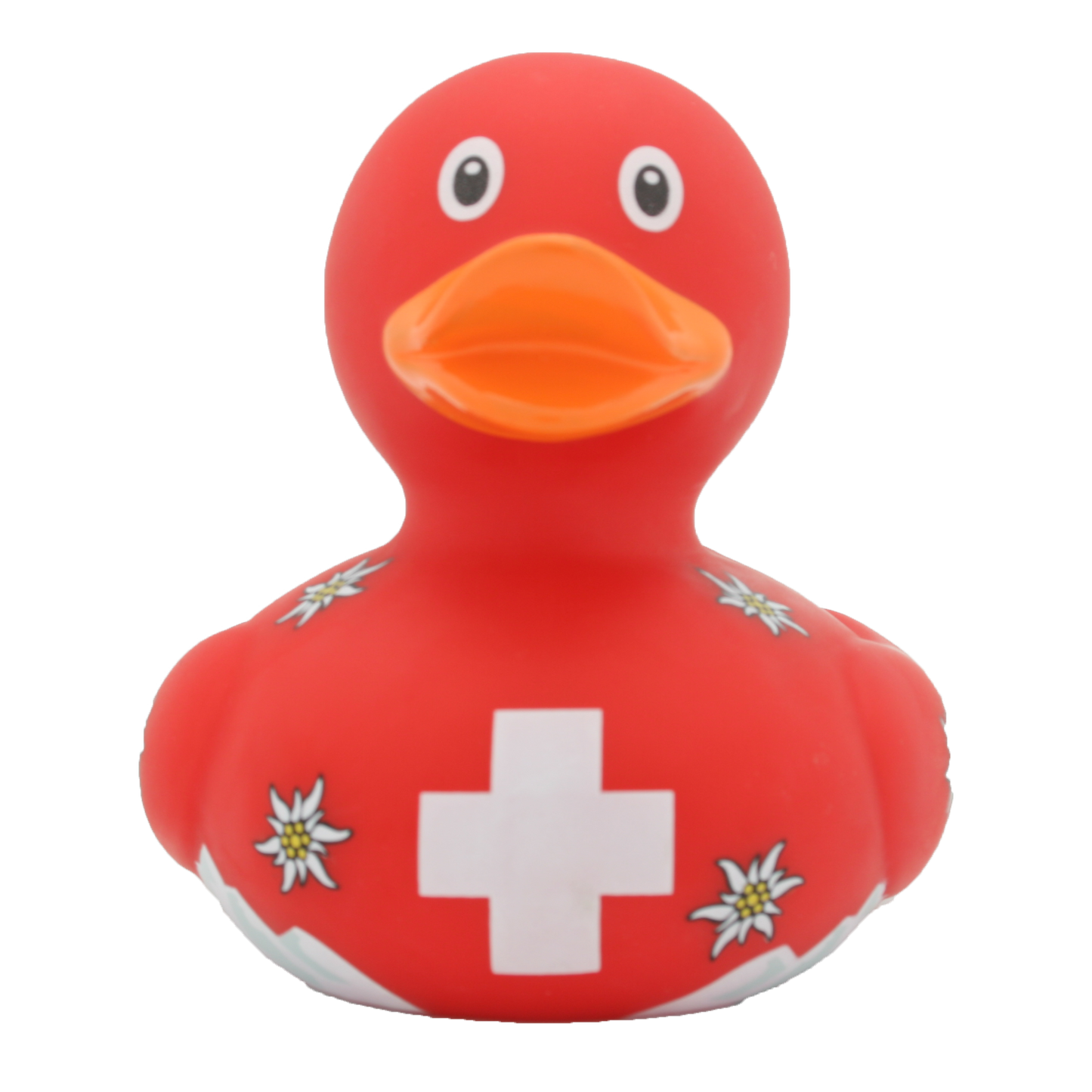 Swiss duck