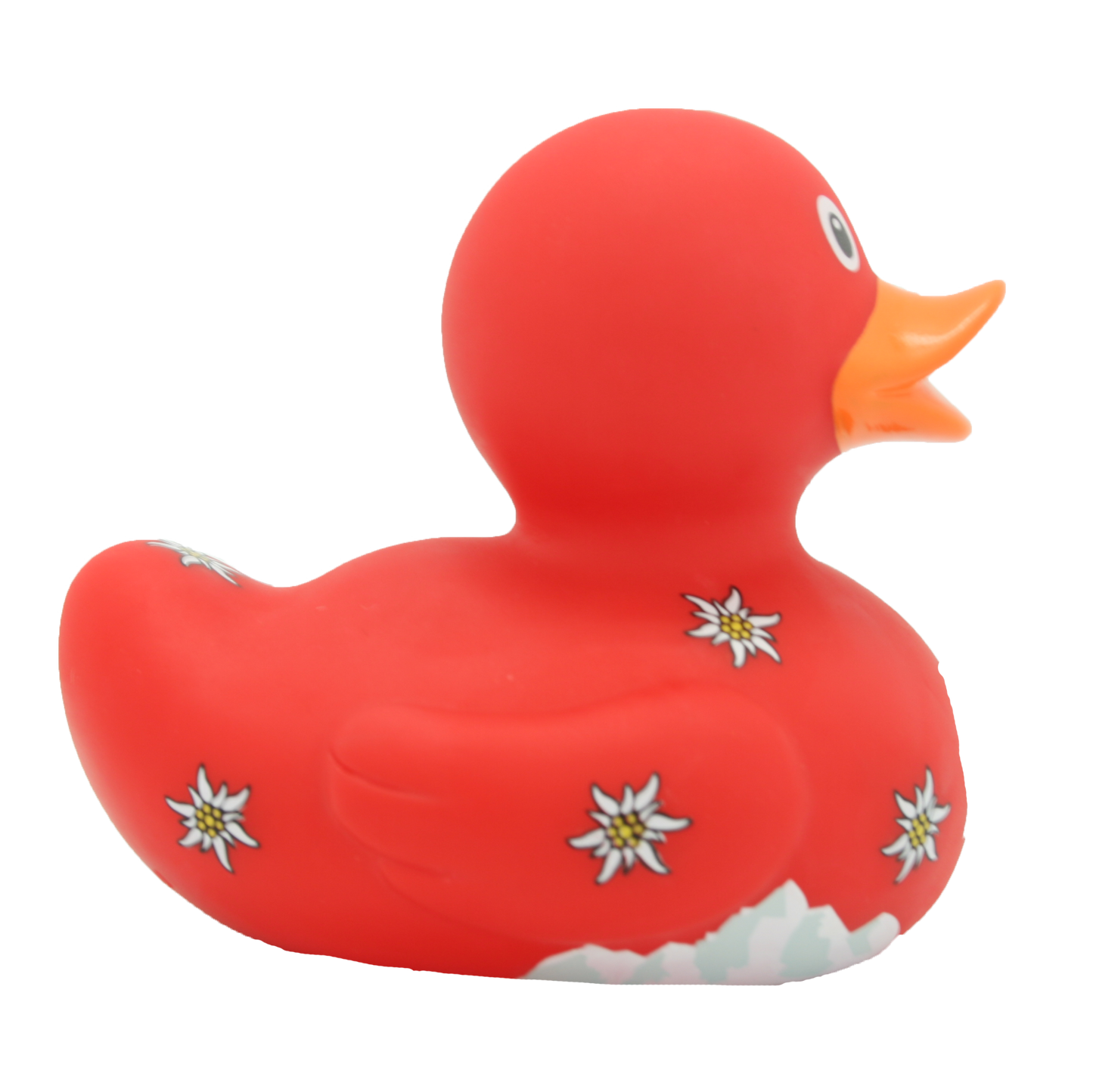 Swiss duck