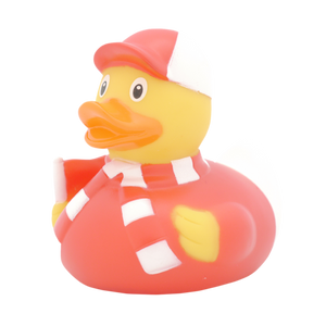 Canard Supporter