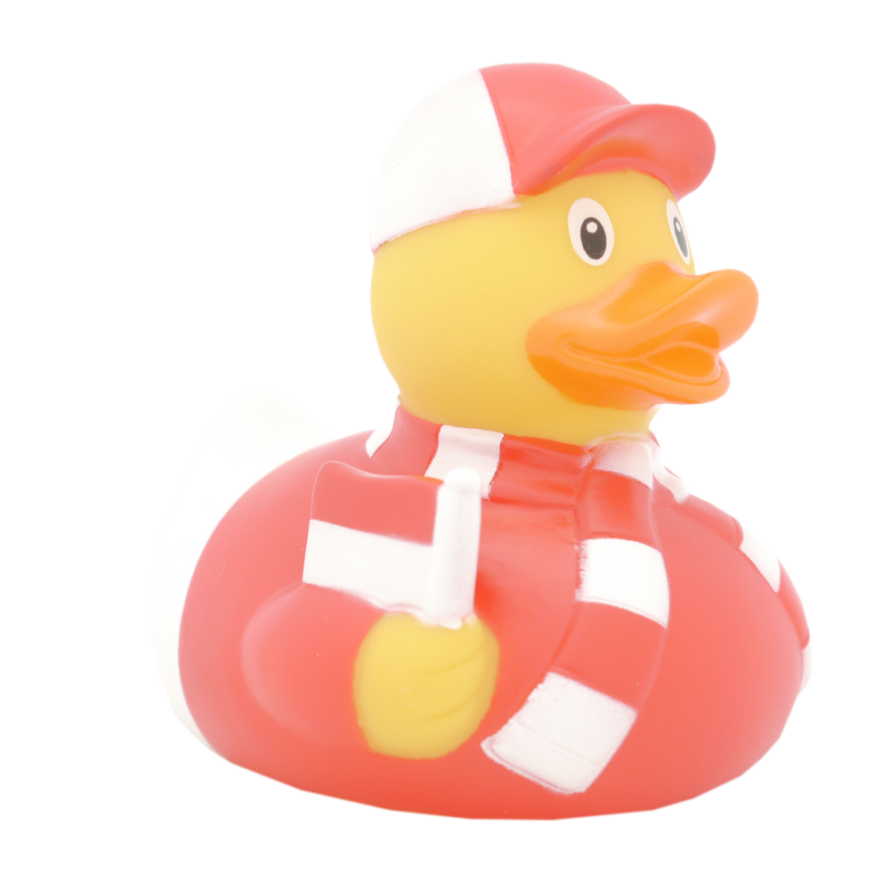 Eendensupporter