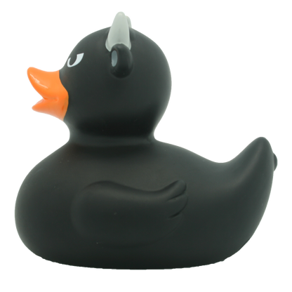 Canard Taureau Noir