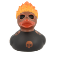 Duck in fire