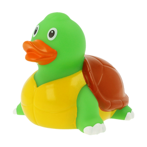 Ente Schildkröte