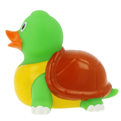 Duck turtle