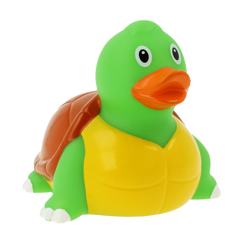 Duck turtle