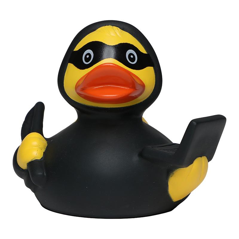 Canard Cybersécurité