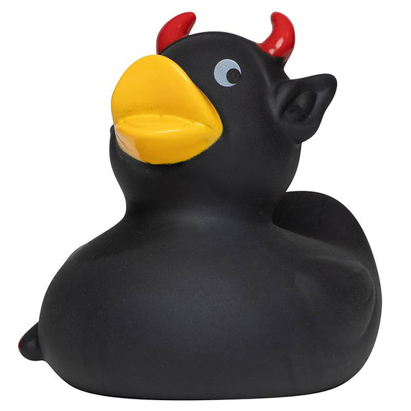 Zwarte Duivel Eend