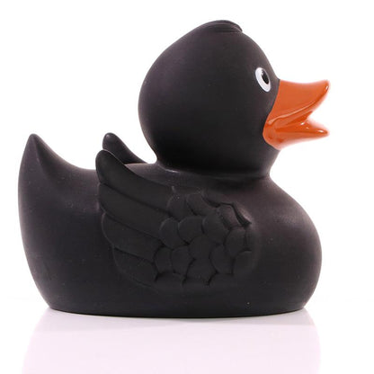 Black duck