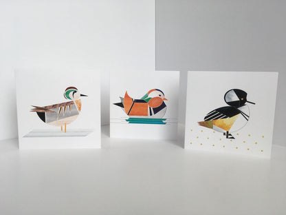 Mandarin Duck Greeting Card