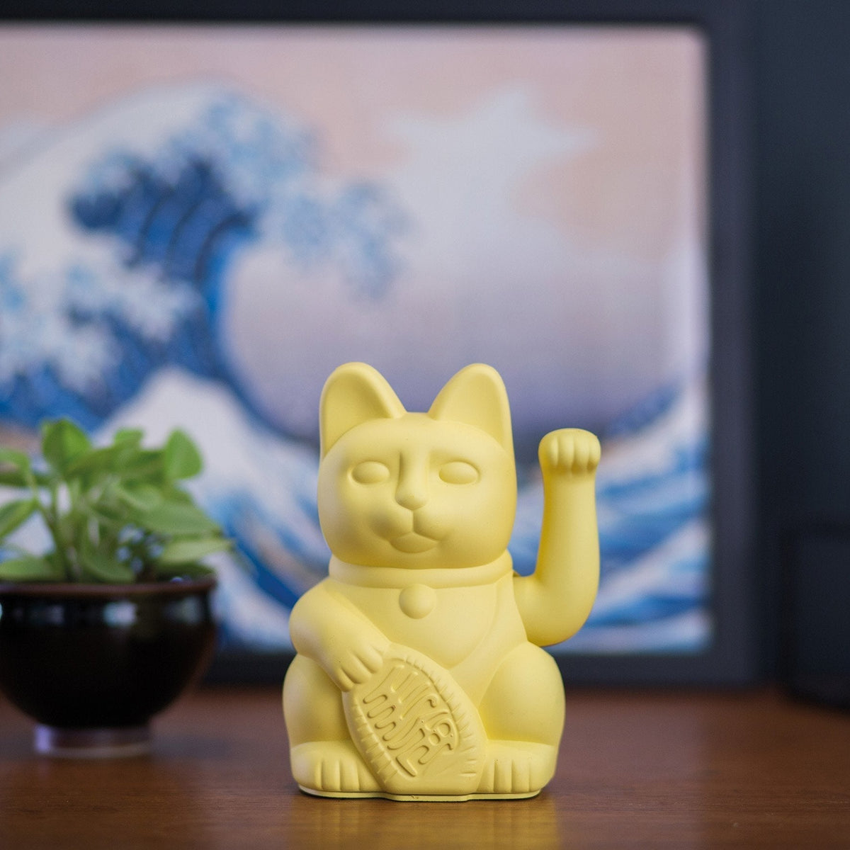 Lucky yellow cat