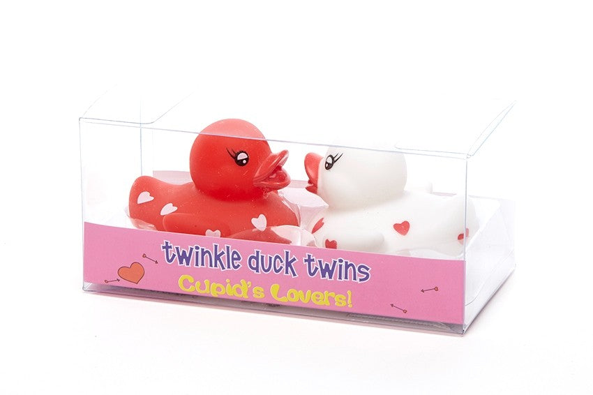 Een verliefd eendenpaar