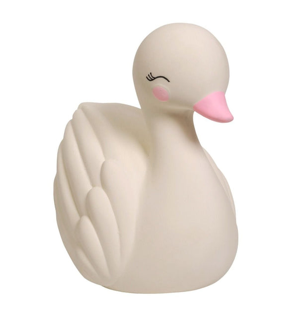 Cygne de Dentition