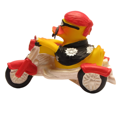 Canard Biker