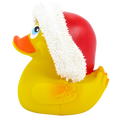 Kerstmuts Eend
