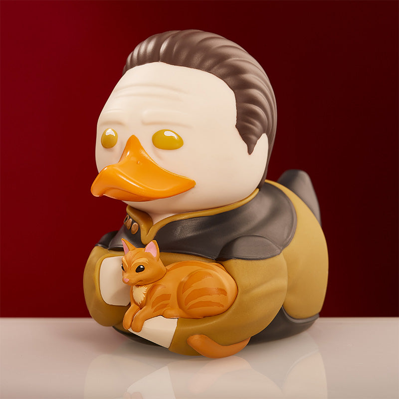 Duck Data (First Edition)