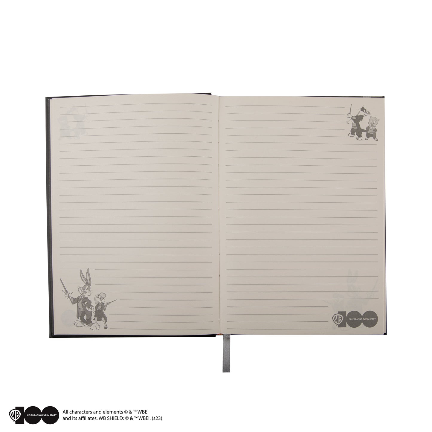 *Looney Tunes at Hogwarts Deluxe Notebook and Pen Set