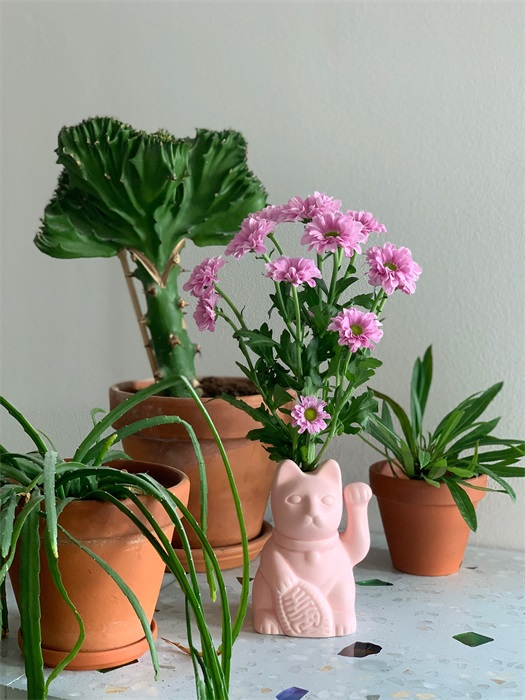 Diffuseur de parfum Chat Chanceux Rose