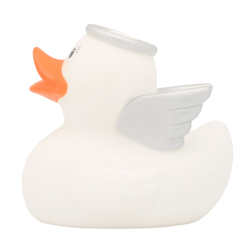 Canard Ange Blanc