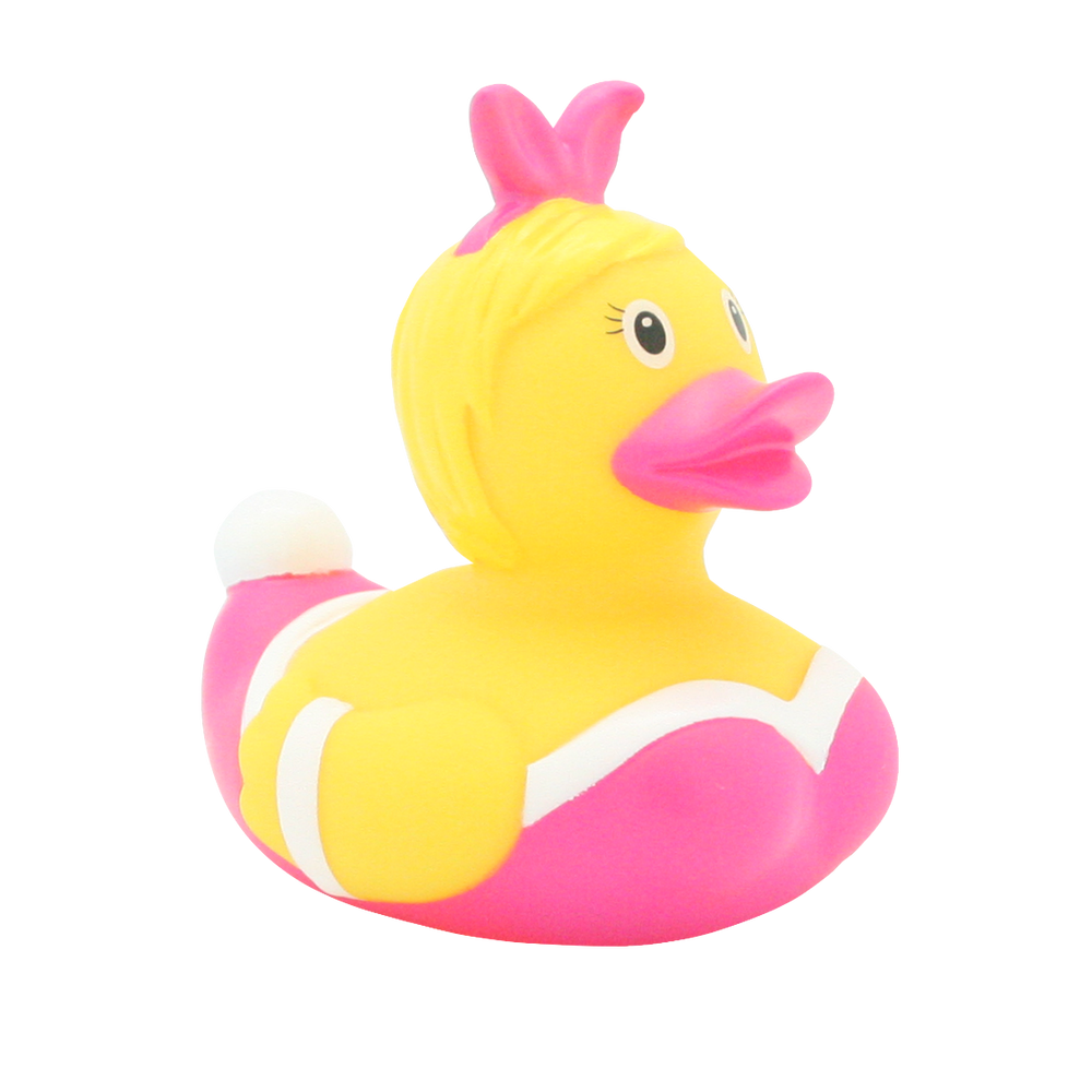 Canard Pin Up Rose