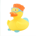 Snorkeling duck