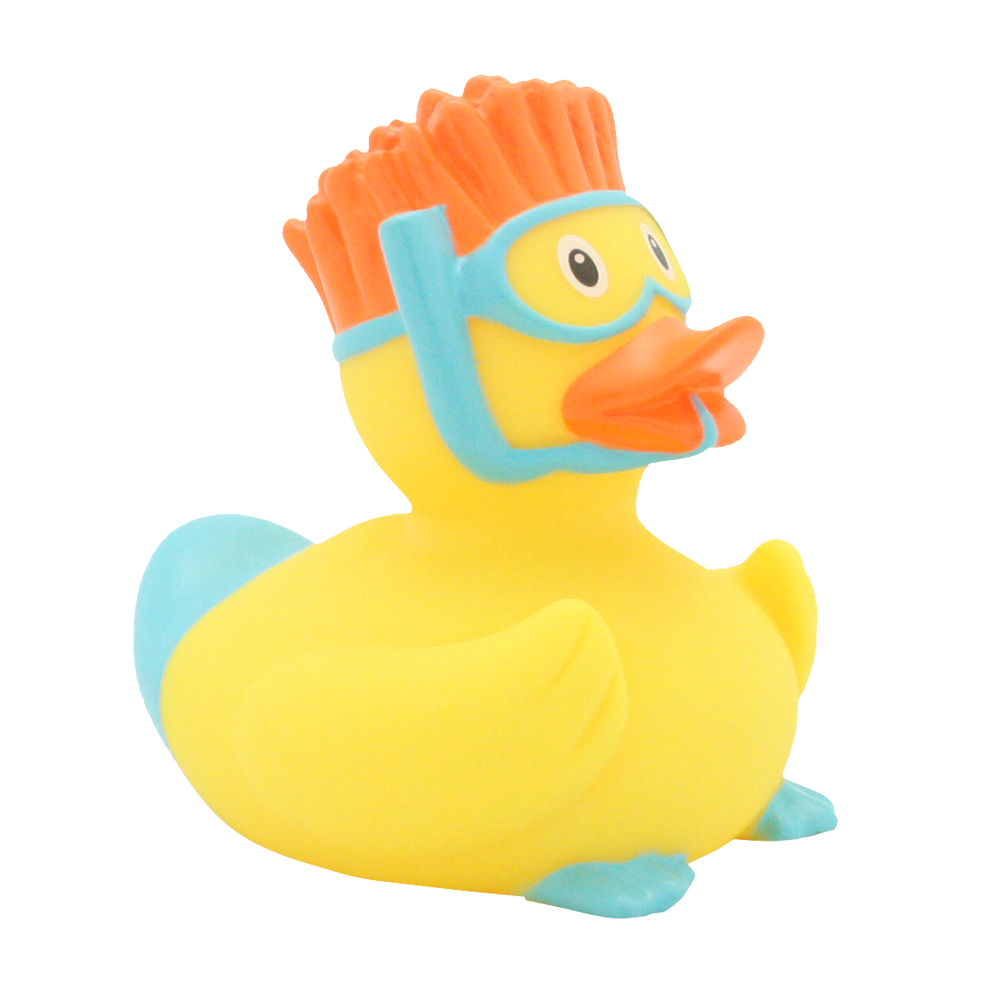 Snorkeling duck