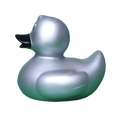 Canard Classique
