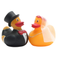 Married Duckling Couple
