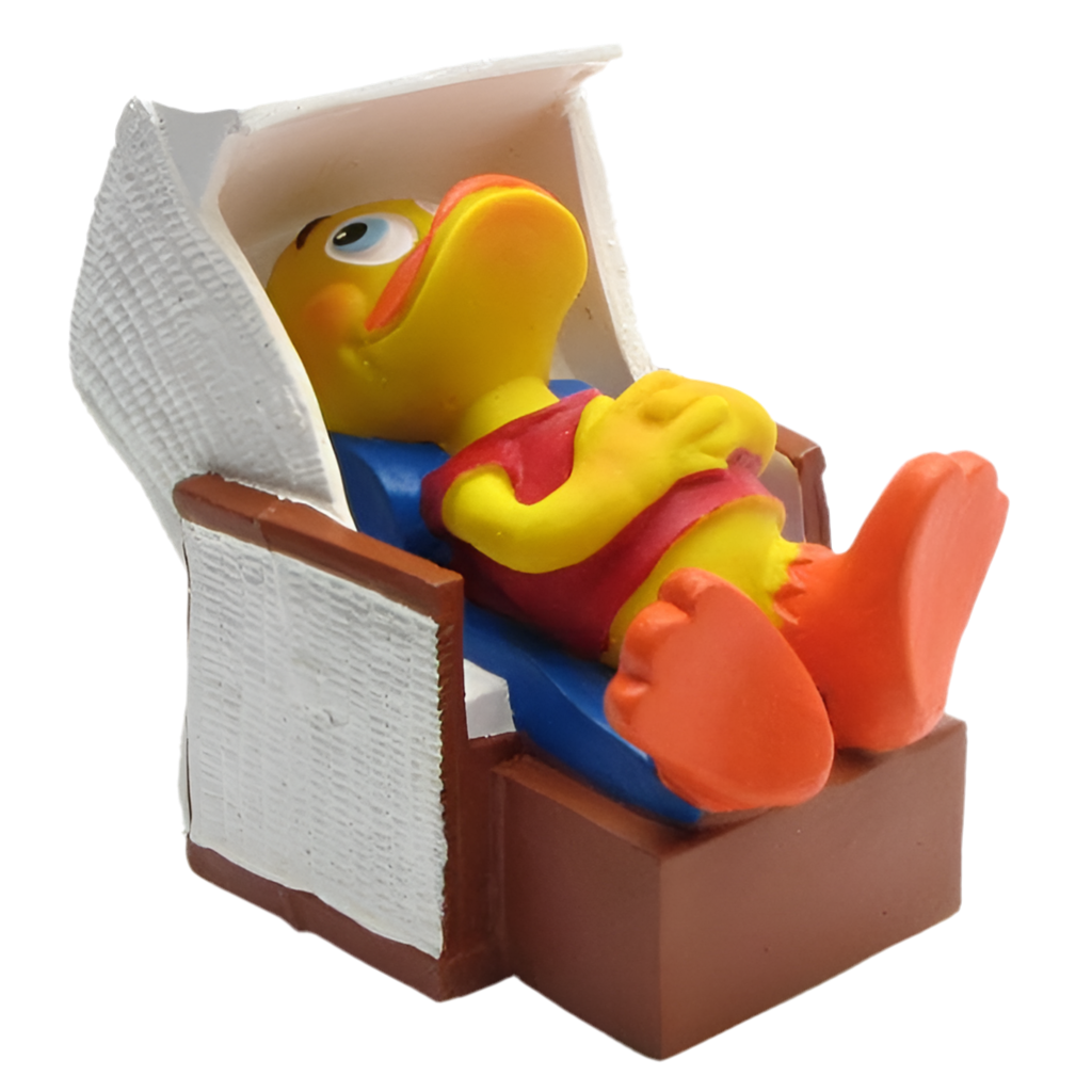 Duck Beach Chair