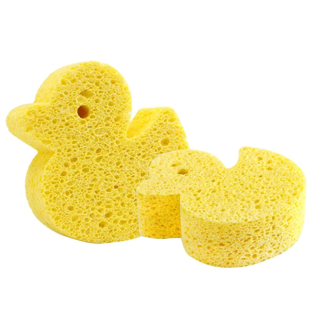 Sponges