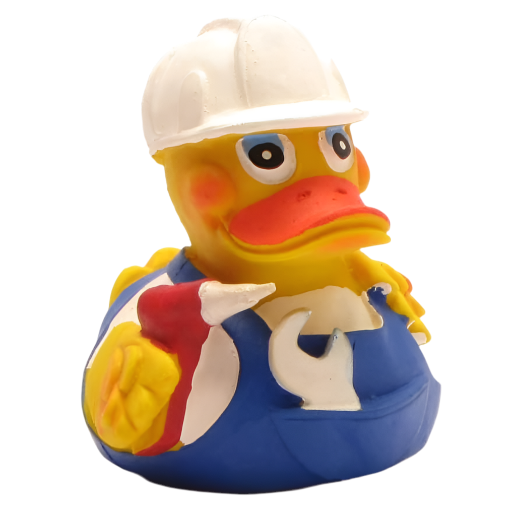 Canard Bricoleur