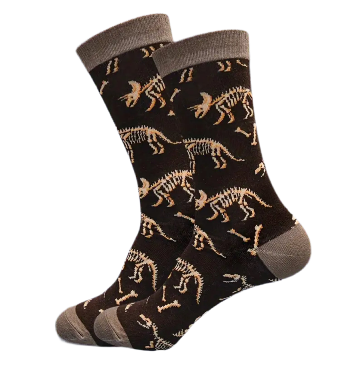 Dinosaur Fossil Socks