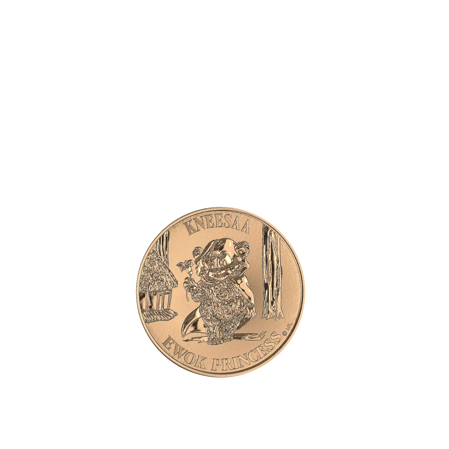 Star Wars The Vintage Collection Wicket and Kneesaa