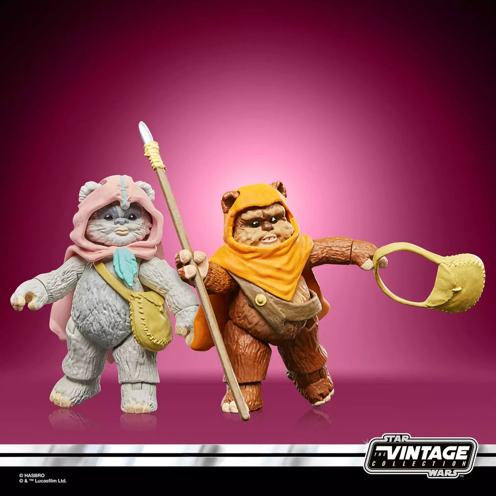 Star Wars The Vintage Collection Wicket et Kneesaa