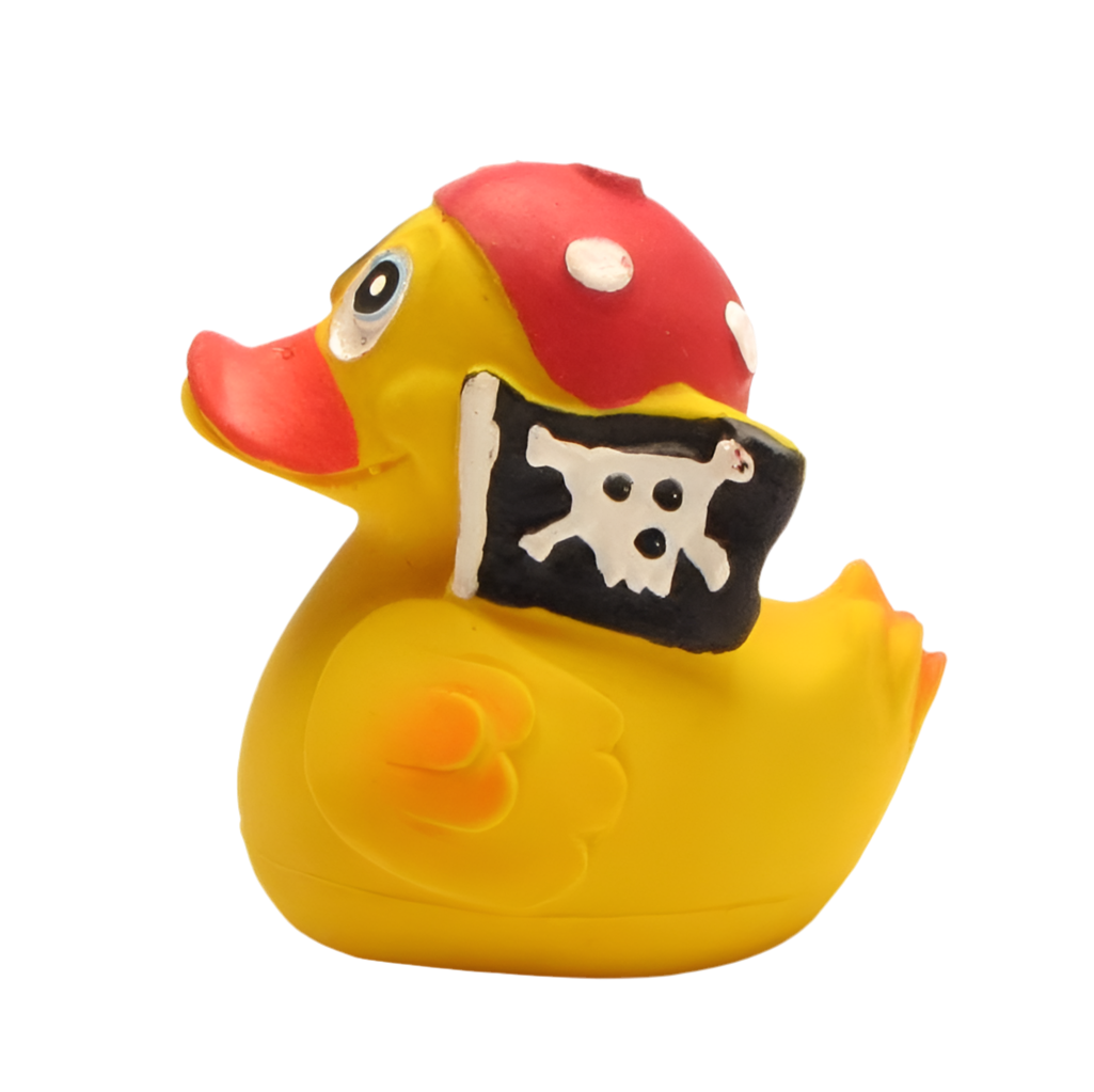 Pirate Duck