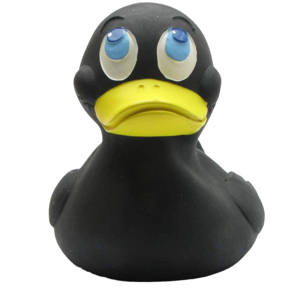 XXL Black Duck