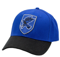 Ravenclaw Cap