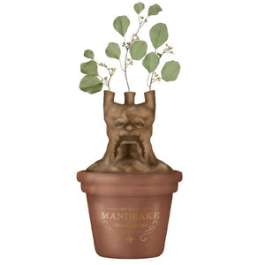 Vase Harry Potter - Mandragore