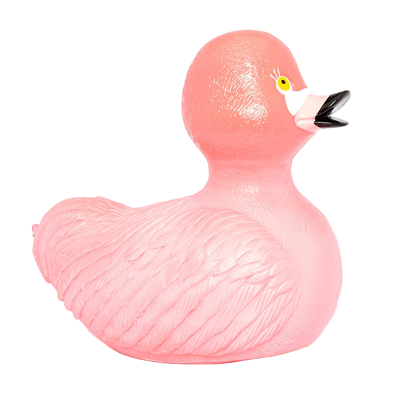 Pink Flamant Duck
