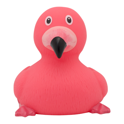 canard-flamant-rose-1