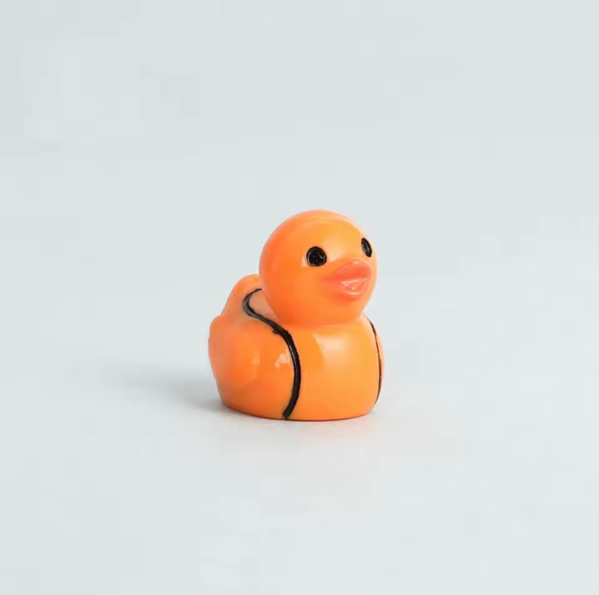 Mini Sportieve Eendjes