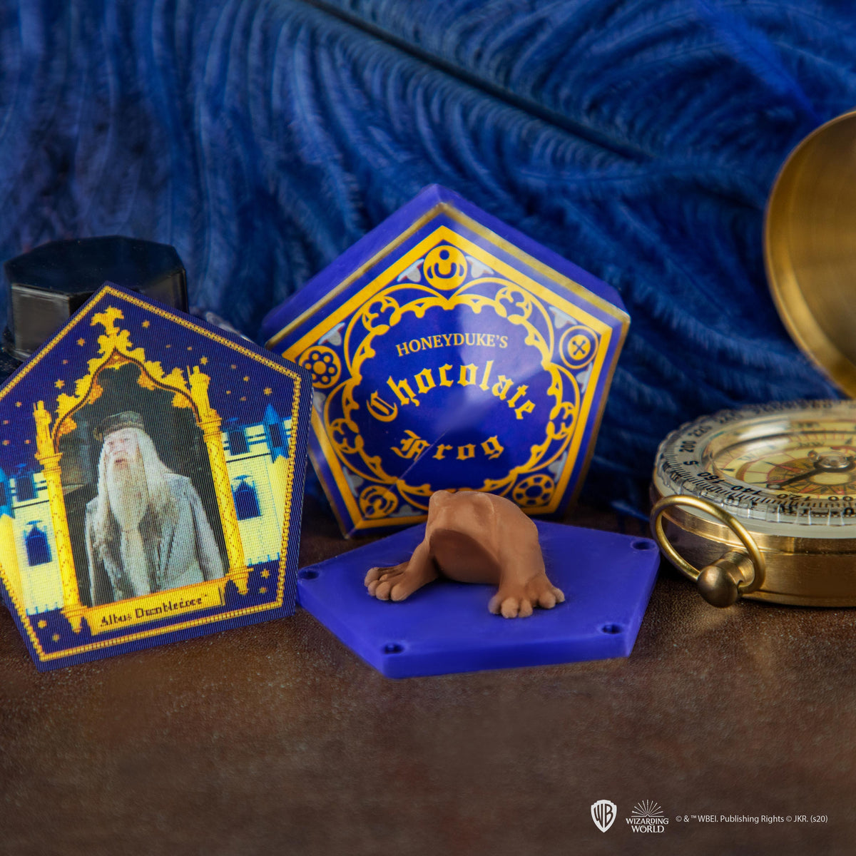 Chocogrenouille Harry Potter