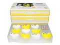 Originele Duck String Lights