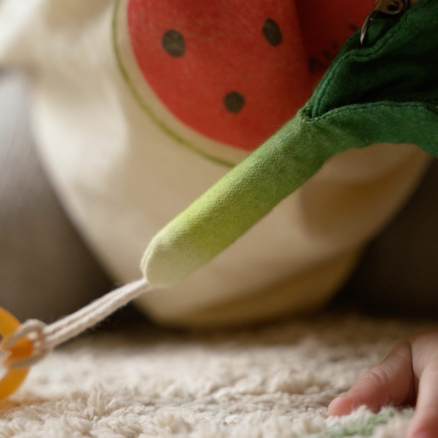 Fresh & Funky Pacifier Clips Set