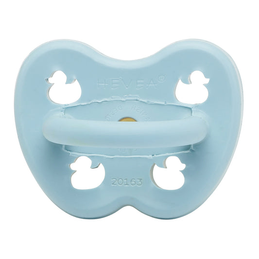 Baby Blue Duck Labb