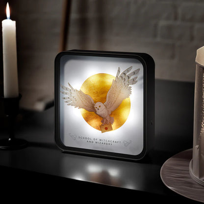 Lampe 3D Harry Potter - Hedwige