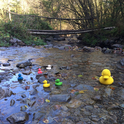 Elvis Le Canard Jaune