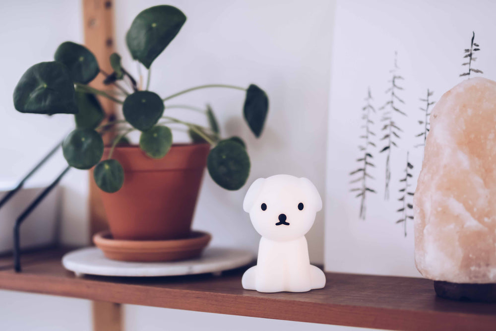 Mini-Nachtlicht Bundle of Light Miffy & Friends