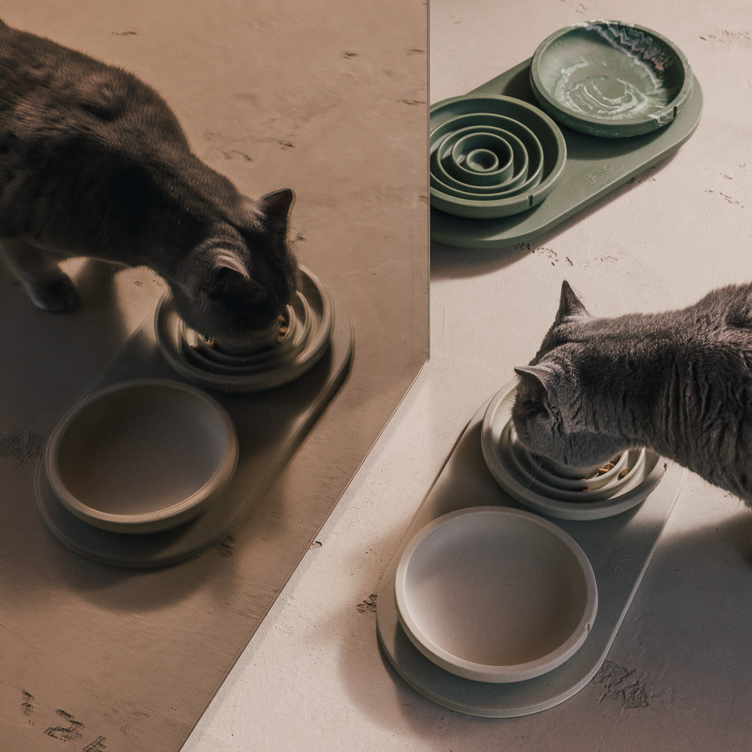 Napf-Tablett für Katzen – Produktansicht 6
